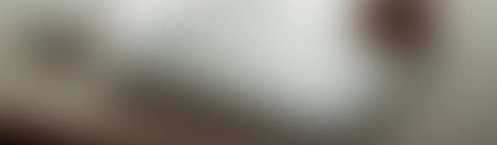 escritório de contabilidade sp